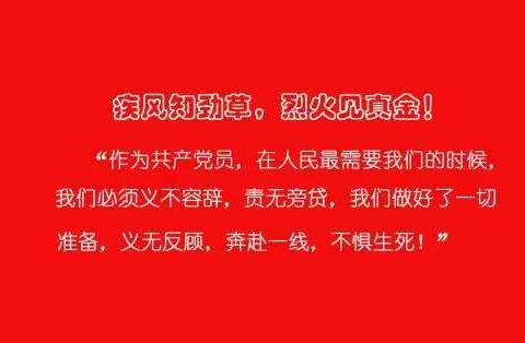 长清区中医医院外科党支部抗疫记录： 组建“精锐连” 奋战上“疫”线