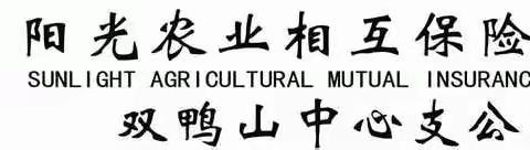 阳光农业相互保险公司双鸭山中心支公司基层机构负责人招聘方案