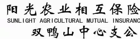 阳光农业相互保险公司双鸭山中心支公司基层机构负责人招聘方案