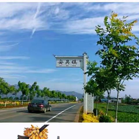 喜迎国庆、盛世华诞，欢乐出行，景情融合在安吴。