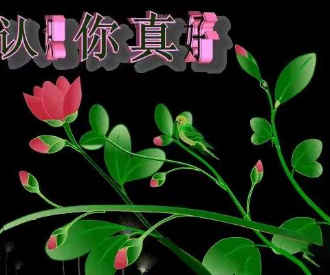 【人生短暂开心快乐每一天】 🔴💃🙏