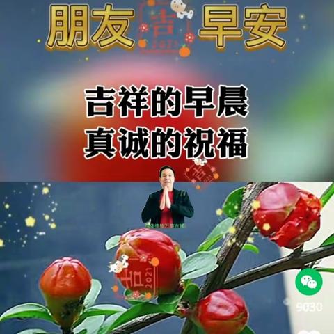 久别相逢情切切！🎻🎹🎼