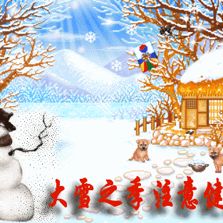 ♛今日大雪💨
