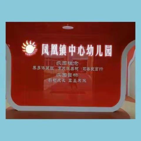 凤凰镇中心幼儿园2022年暑期集训——学《3～6岁儿童学习与发展指南》