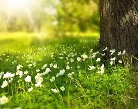 永安小区物业部本周美篇