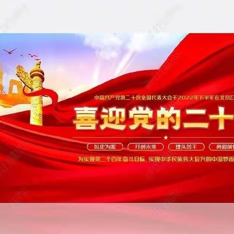 “书香飘申城 阅读伴我行”---向二十大献礼  信阳市第三小学2019级5班第三小队