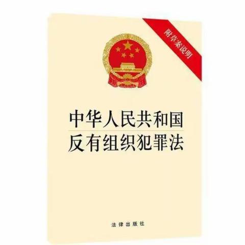 反有组织犯罪你知道多少