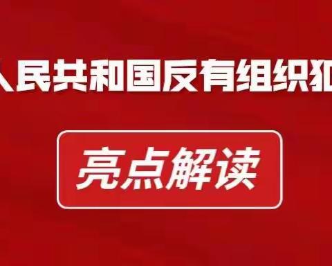 《反有组织犯罪法》六大亮点解读