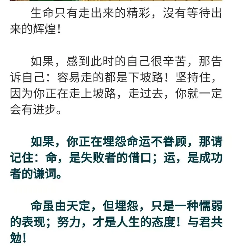 新疆行之————《励志感悟心语》