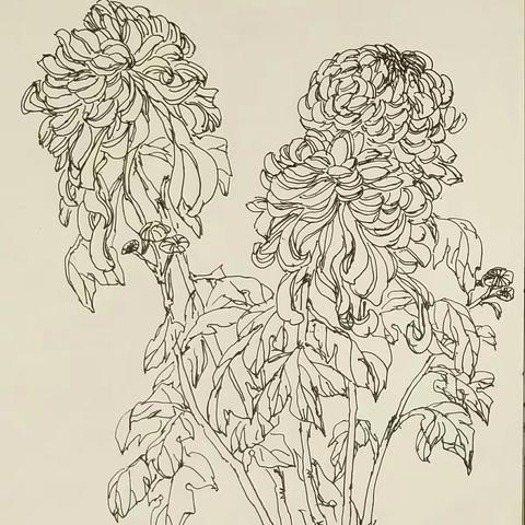 我想妙笔生花(写生陆续添加中)