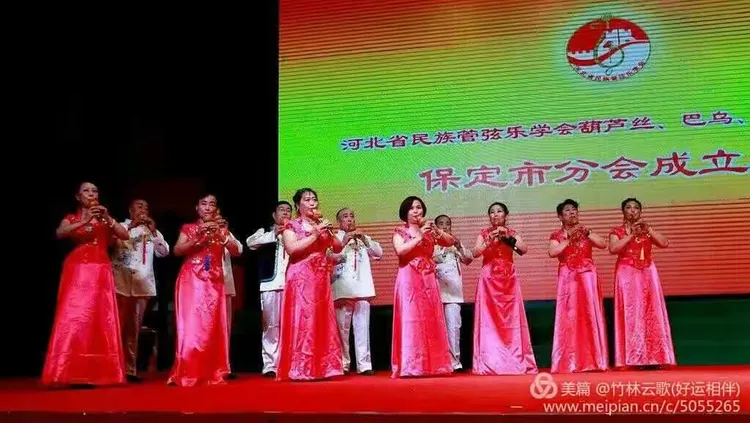 保定演奏的《竹林深处》