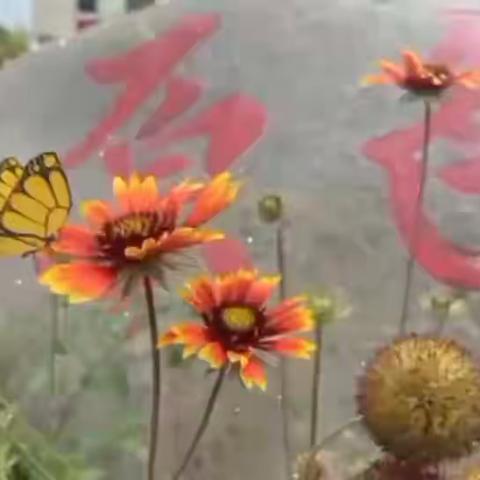 【原色儿童村课程】“疫”样时光相伴成长系列活动大班（二）