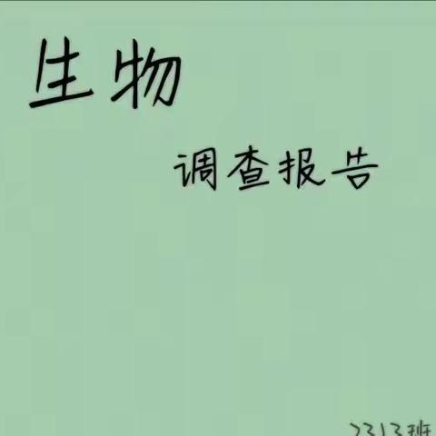 2313班 谌思颖    张晨希的生物调查报告！