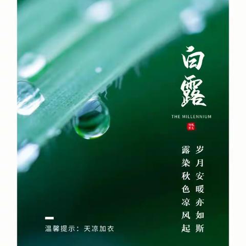 “秋风生白露，露至秋意浓”——费县东关小学开展《我们的节气——白露》系列活动