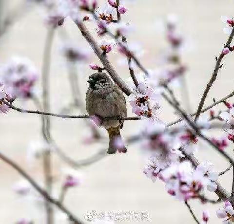 云与你我同行