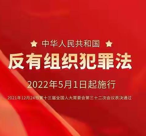 华安保险鹤岗中支带您了解《反有组织犯罪法》