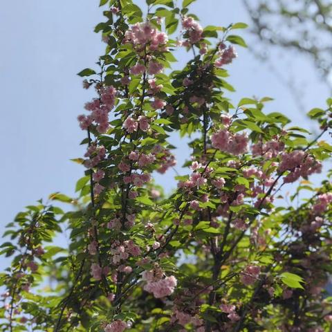 芸芸众生（摘自吴官正《闲来笔谈》）