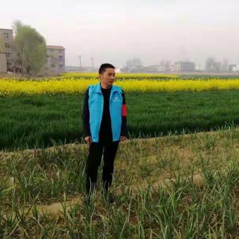 禁烧巡查工作