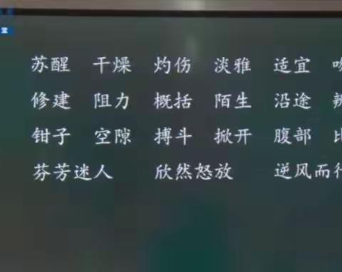 第四单元复习