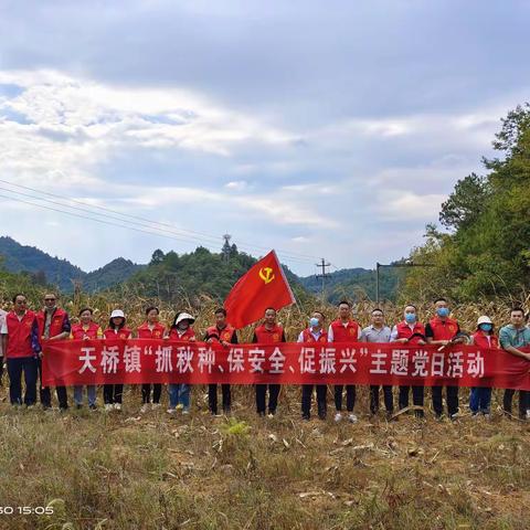 天桥镇组织开展“抓秋种、保安全、促振兴”主题党日活动