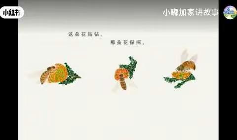 停课不停学，静待花开疫散——奎德素镇中心幼儿园大二班一周总结