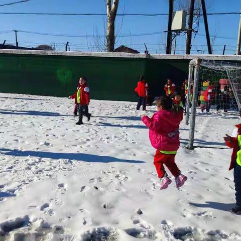 龙云玉叶上，鹤雪瑞花新——大班雪后游戏记录