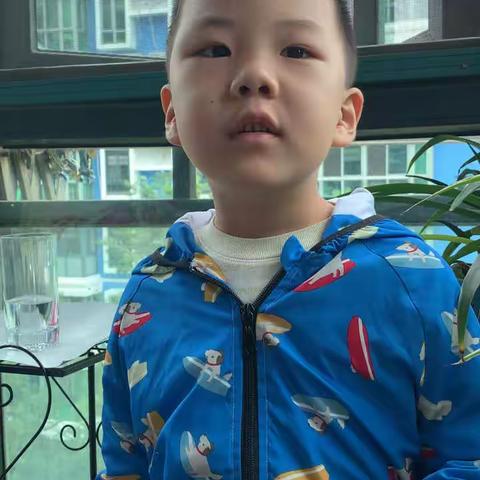 有趣的水培——水培芋艿观察日记