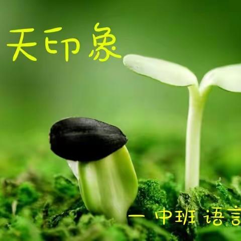 【未来可期 一路相伴】-----北镇市幼儿园亲子“云”乐园系列活动之十（中班组）