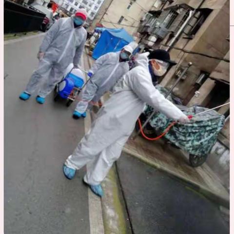 疫情终会尽 陌上花似锦