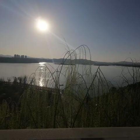 四年级（下）同步优秀作文引路