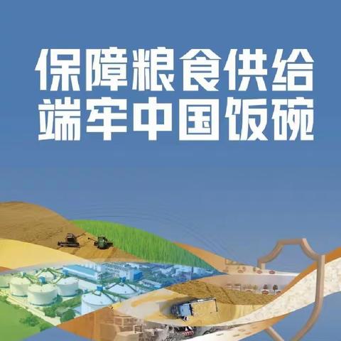 护“粮”有我 惜“粮”如金——世界粮食日暨全国粮食安全宣传周倡议书