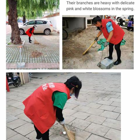 宏远物业—丰乐项目部八月美篇