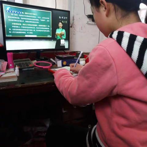 网课学习，乐此不疲