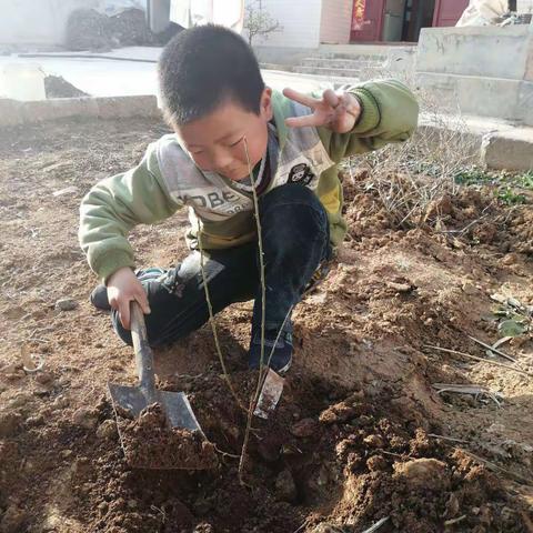 洛南二小三（12班 ）孩子们“争当秦岭生态卫士”三月12日植树节期间亲手为家园增添绿色为绿化环境奉献力量。