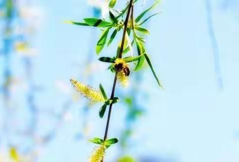 Special winter vacation