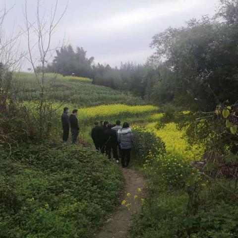 来苏至璧山区三合镇（永川段）天然气管线互通工程（二标段）依法依规开工复产