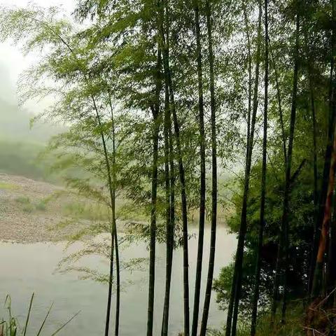 明天更好（部分图片来自网络