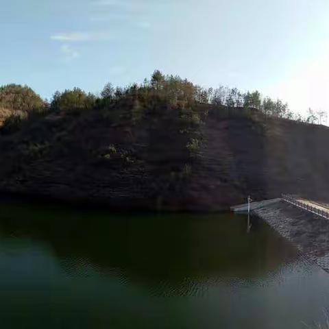 三年级英语日记3.11