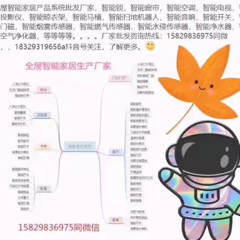 智能家居产品全国批发