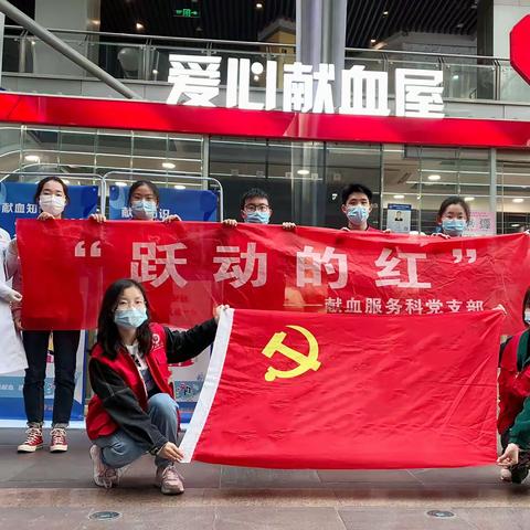 白翼护梦，共铸生命绿洲