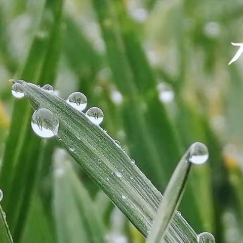 小四班主题课程～雨中寻趣