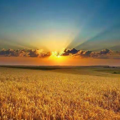 线上辅导 答疑解惑