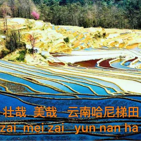 壮哉   美哉                               云南哈尼梯田