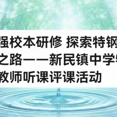 加强校本研修  探索特岗发展之路——新民镇中学特岗教师听课评课活动