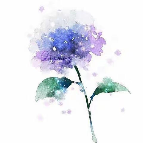 我的感受——关于爱