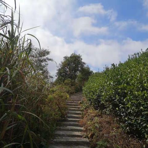 黄岩沙埠温黄古道环线