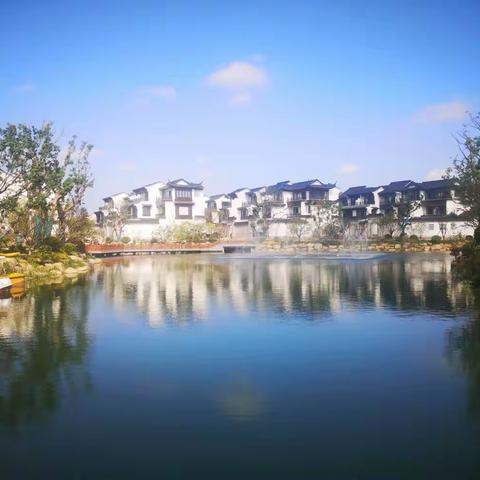 梦入温岭桃花源