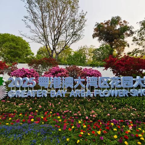 莲花山空竹队游 2025粤港澳大湾区花园大赛