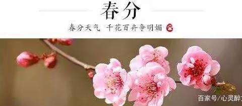 停学不停课！学习内容《春分》      城东路幼儿园！！！