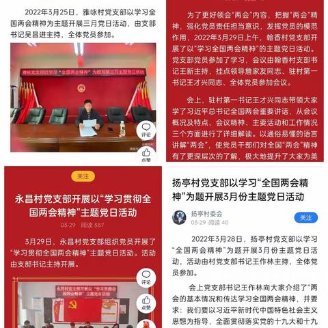 “学习贯彻全国两会精神”——龙泉镇组织各支部开展3月份主题党日活动
